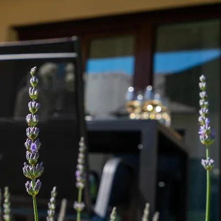 Captain's Kenese * Balatonkenese